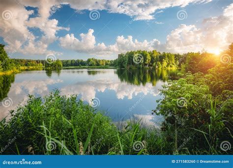 Great View Of The Quiet Lake And Green Forest On A Sunny Day Ukraine