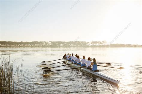 Female Rowing Team Rowing Scull On Sunny Lake Stock Image F0216458