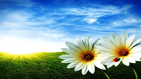 This free collection of spring wallpapers can be perfect for anyone looking to update their desktop with some new scenery. 69+ Spring Scenes Wallpaper on WallpaperSafari