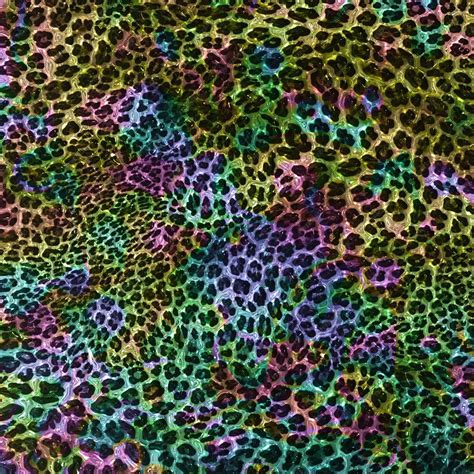 Premium Photo Colorful Leopard Texture Background