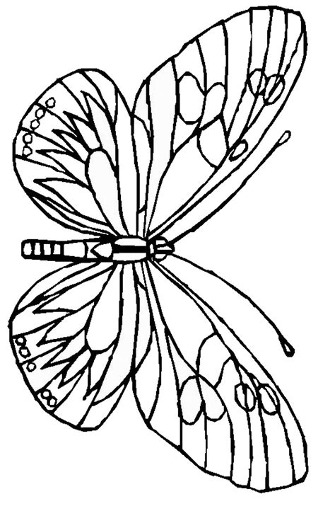 Butterfly Coloring Pages