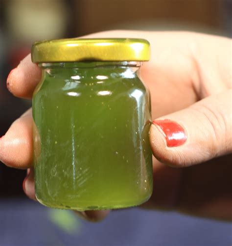 This treatment works best on slightly damp hair. How To Use Neem Oil For Hair Growth | Benefits of Neem Leaves