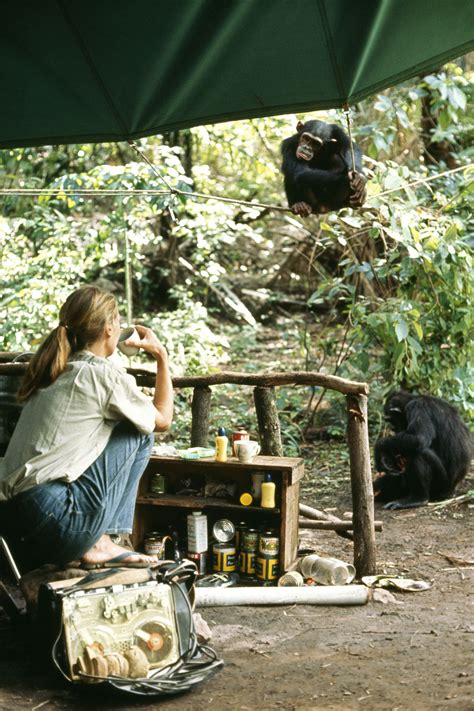 She also educated young people about the importance of conservation for our planet and its creatures. The Jane Goodall Institute New Zealand