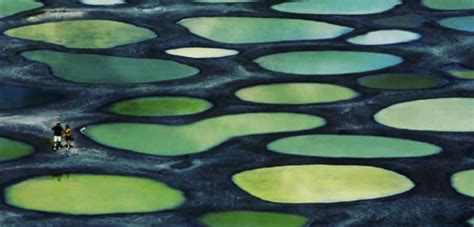 Lake Khiluk ‘spotted Lake Is One Of Bcs Most Stunning Osoyoos