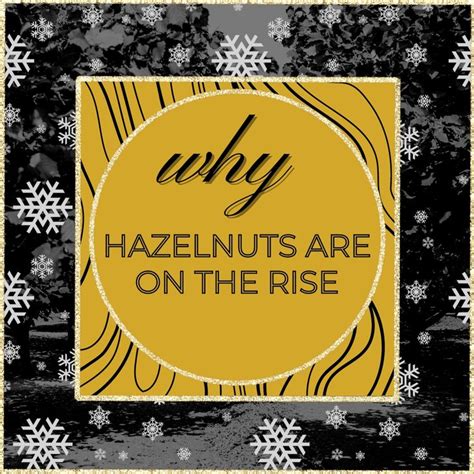 Hazelnuts Are On The Rise Due To Increased Demand For Their Health
