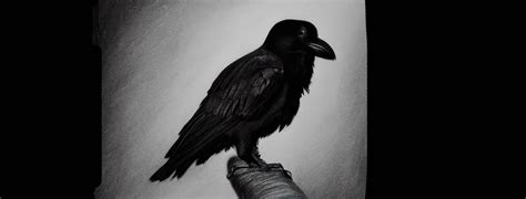 10 Symbolisms Of The Raven In Wiccan Traditions Mystic Imports