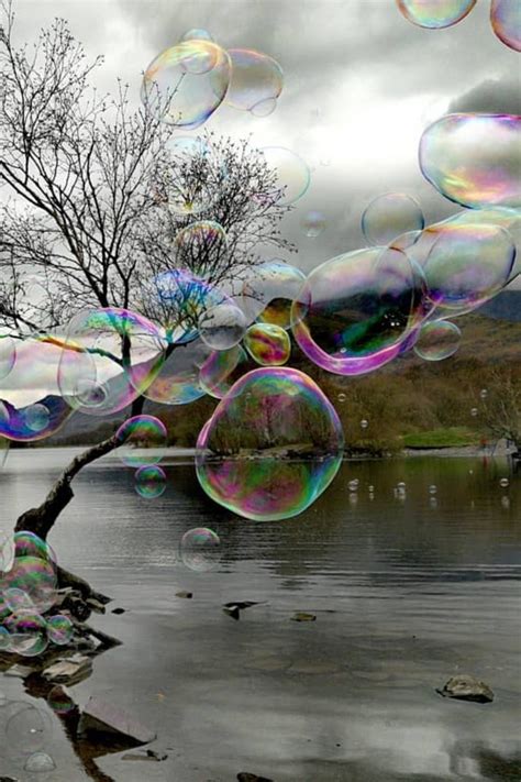 Bubble Pictures Giant Bubbles Bubble Photography Photography Ideas