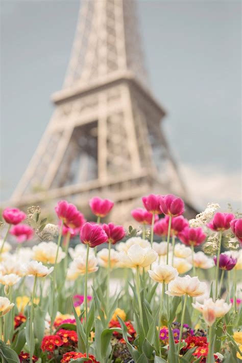 Paris Photography Tulips At The Eiffel Tower Paris In Etsy Paris In