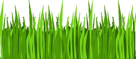 Grass Clipart Coloring Pages To Print