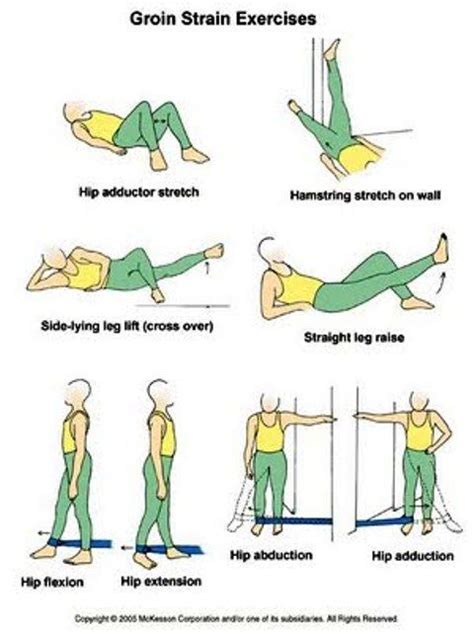 Groin Sprain Exercises Exclusive Physiotherapy Guide For