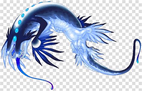 Blue Glaucus Nudibranch Drawing Sea Slugs Transparent Background Png