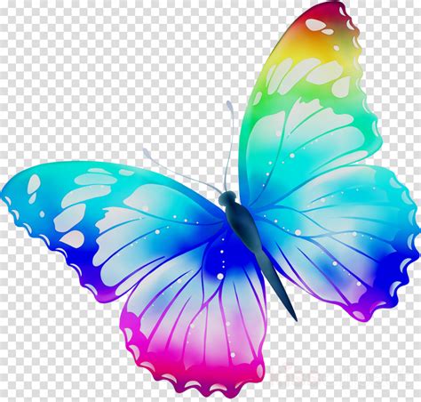 Maybe you would like to learn more about one of these? Butterfly Illustration clipart - Illustration, Butterfly ...