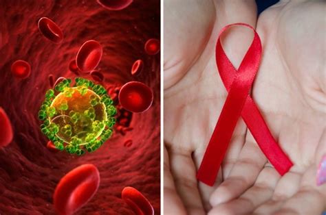 Hiv Aids Cure Medical Breakthrough Destroys Infected Cells Daily Star