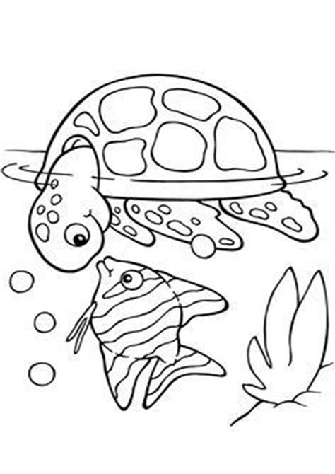 These are also great for games, storytime, and other learning activities. Pin on Fish & Bird Coloring Pages