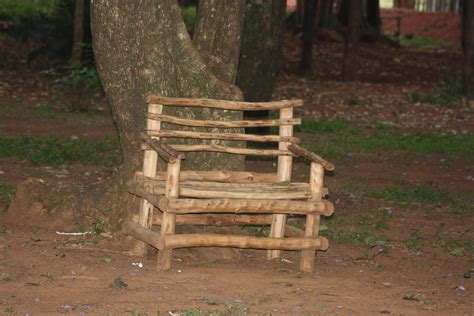 Kakamega is home to muliro gardens. KENYAN POLITICS: MULIRO GARDEN FREED OF SEX PESTS