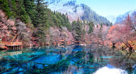 Jiuzhaigou Valley Scenic And Historic Interest Area Travel Guide