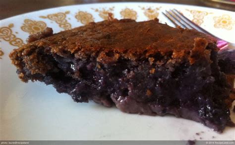 No Crust Blueberry Pie Recipe Recipeland