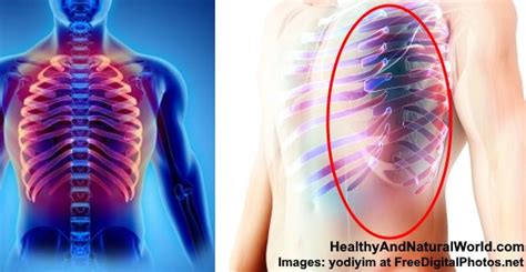 Pain In Left Side Under Ribs Causes And When You Must See A Doctor