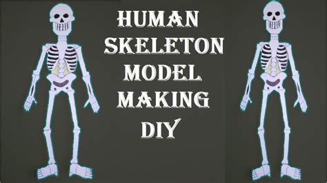 Human Skeleton Model Making Easy Simple Steps Diy At Home