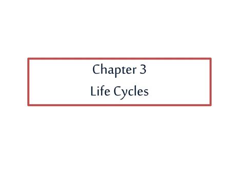 Ppt Chapter 3 Life Cycles Powerpoint Presentation Free Download Id
