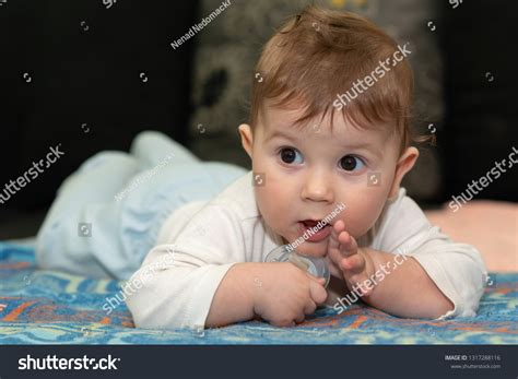 Baby Boy Lying On Tummy Baby Stock Photo 1317288116 Shutterstock