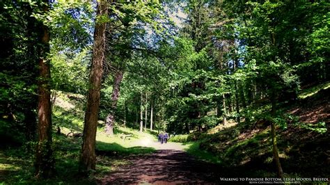 Walkers, mountain bikers, pups and little ones will love this one, with its range of trails, natural play area and iron age hill fort. Paradise Bottom Bristol