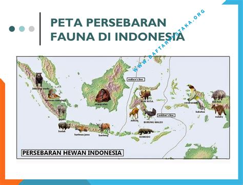 Peta Persebaran Flora Dan Fauna Di Indonesia Daftar Pustaka My XXX Hot Girl