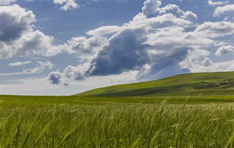 Spring In The Fields Of Gobustan Stock Image Image Of Land Outdoor
