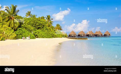 Maldives Island Tropical Beach Stock Photo Alamy
