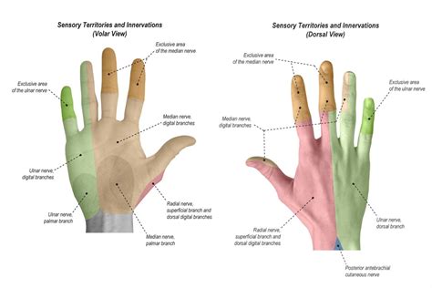 Ortho Case Finger Injury — Kwak Talk