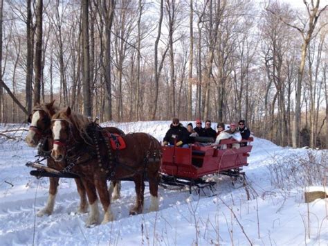 This 50 Minute Michigan Sleigh Ride Takes You Through A Winter