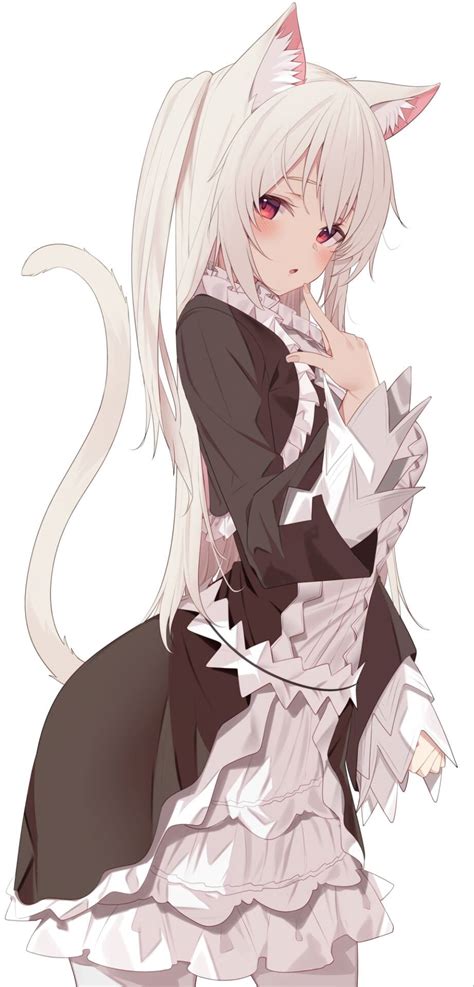 5443255 cat ears maid outfit blushing cat girl maid white background cat tail phone