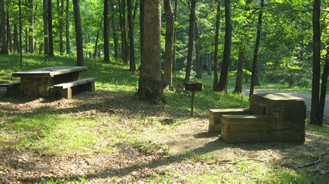 Filepicnic Table And Fireplace In The Ccc Picnic Grounds