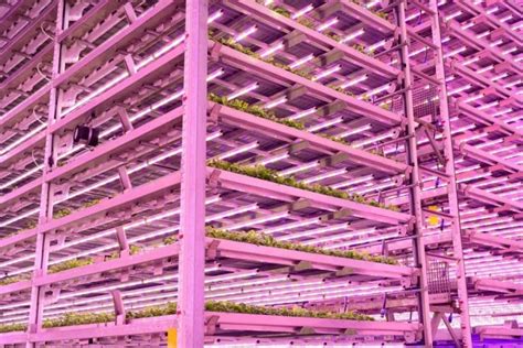 Vertical Farming On The Rise In The Uk Farminguk News Communities Unit Ar Fresco Gym Showers