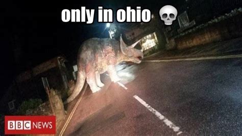 Only In Ohio Meme By Gabrielmejia1999 On Deviantart