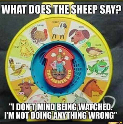 What Does The Sheep Say On Mind Being Watched Im Not Doing Bnytring