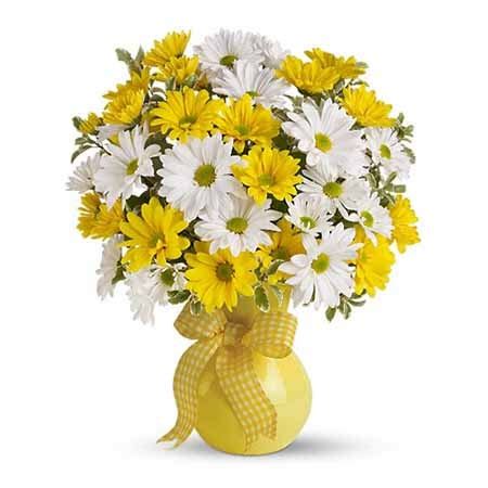 Check spelling or type a new query. Yellow And White Daisy Bouquet at Send Flowers