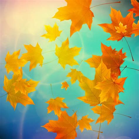 Autumn Falling Leaves — Stock Photo © Egal 13949863