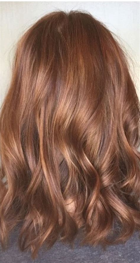 Great Concept 20 Copper Brown Hair Color Pictures