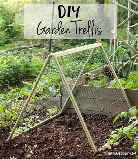 7 Awesome Diy Garden Trellis Projects For Your Home With Images
