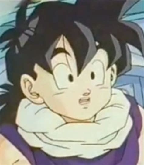 The action adventures are entertaining and reinforce the concept of good versus evil. Voice Of Gohan Son - Dragon Ball • Behind The Voice Actors