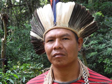 From old tupi guaraní (warrior). Appello ONU per i Guarani mentre uomini armati si ...