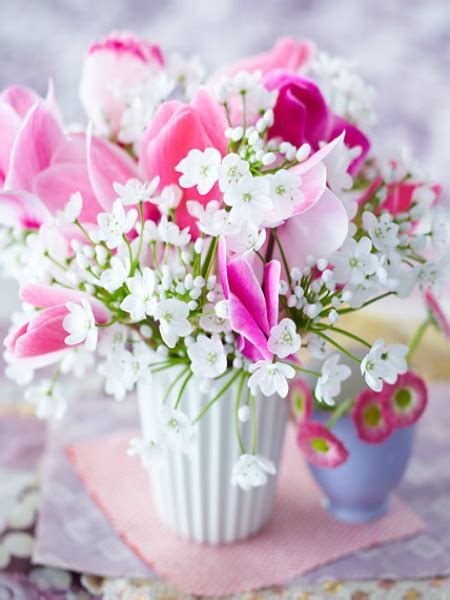 I colori, le forme ed i profumi che contraddistinguono i fiori li rendono unici ed amati da moltissime persone. tra orto e giardino: Fiori in Vaso per una Desiderata ...