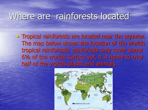 A tropical rainforest has a hot, wet climate with no definite seasons. PPT - The Rainforest PowerPoint Presentation, free download - ID:1390117