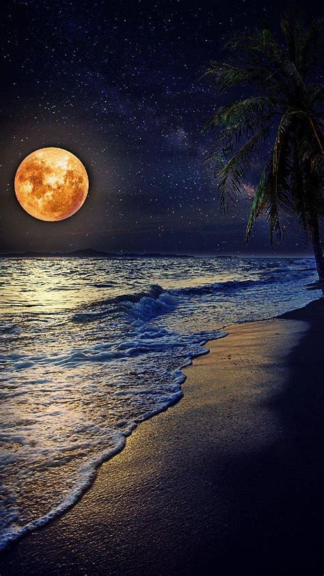 Full Moon Over Tropical Beach Image Abyss
