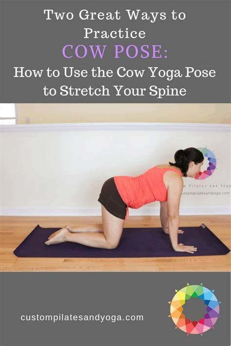 Two Great Ways To Practice Cow Pose How To Use The Cow Yoga Pose To