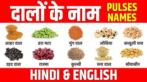Pulses Name Hindi And English Lentils Names Dalo Ke Naam Dalo Ke