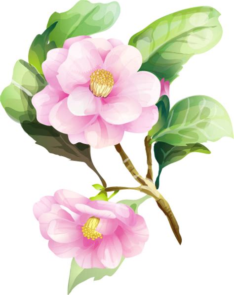 1,000,000+ contributors · background & texture pics · signs & symbols 7 elegant watercolor flowers vector Free Vector / 4Vector