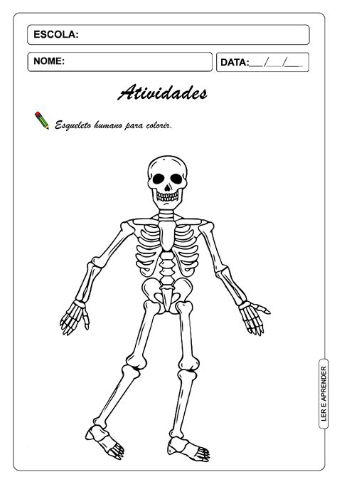 Atividades Sobre O Esqueleto Humano 1 Ano