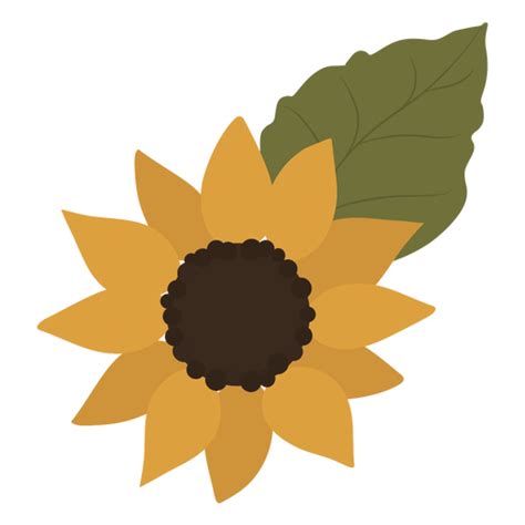 Free Svg Transparent Background Realistic Sunflower Svg 2112 Svg Png